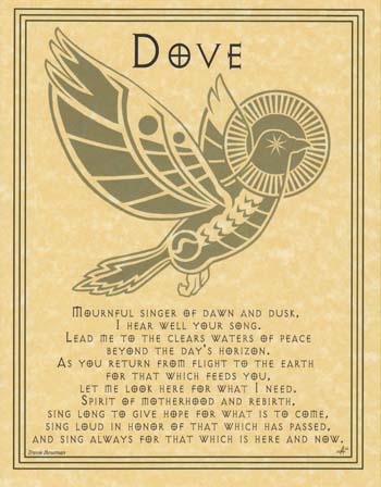 Dove Prayer