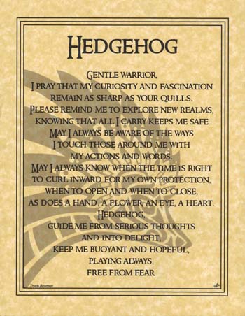 Hedgehog Prayer
