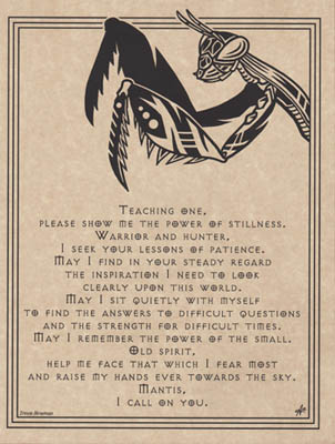Mantis Prayer